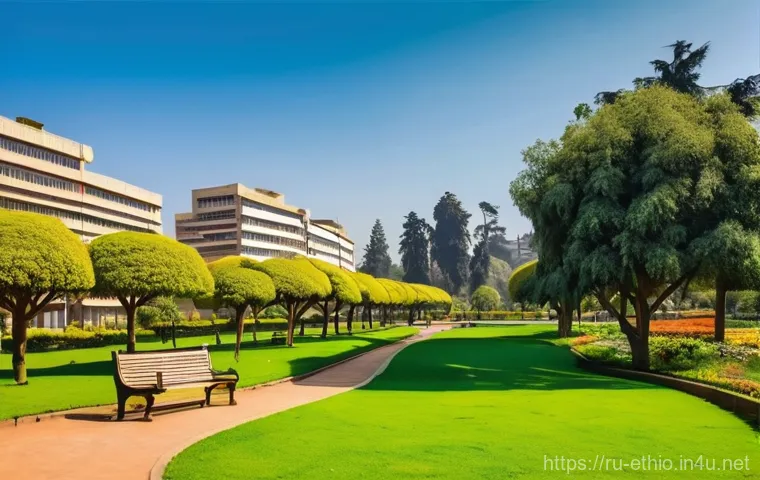 아디스아바바 숙박 추천 - **Prompt:** An authentic and warm Ethiopian coffee ceremony taking place indoors within a cozy, trad...