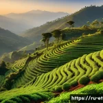 에티오피아 커피 농장 체험 - A detailed scene of Ethiopian highland coffee plantations at sunrise, showcasing mountainous terrain...