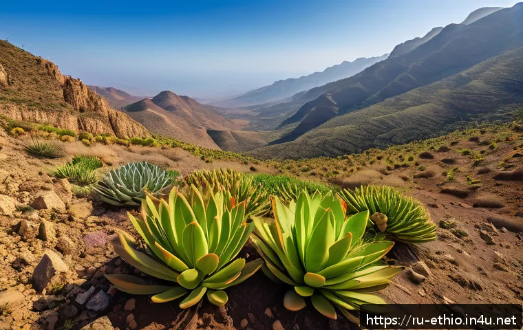 에티오피아 고원 지역의 동식물 - A vivid and detailed landscape of the Ethiopian Highlands featuring endemic plant species such as th...